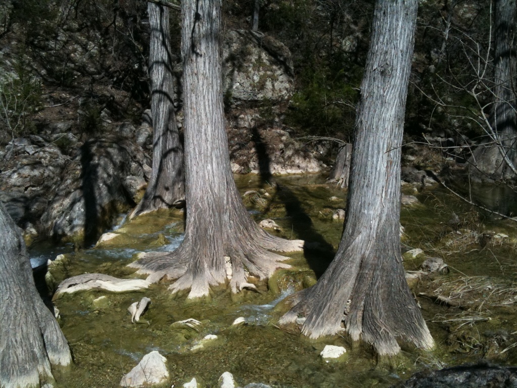 2010/03(Mar)/Hike to Hamilton Pool with Rhonda Troll/1024x768_2010-03-12-Hamilton Pool-11.jpg